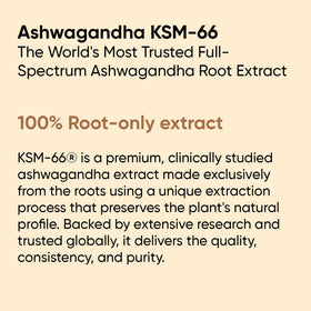 Capsules d'Ashwagandha KSM-66 sur fond blanc