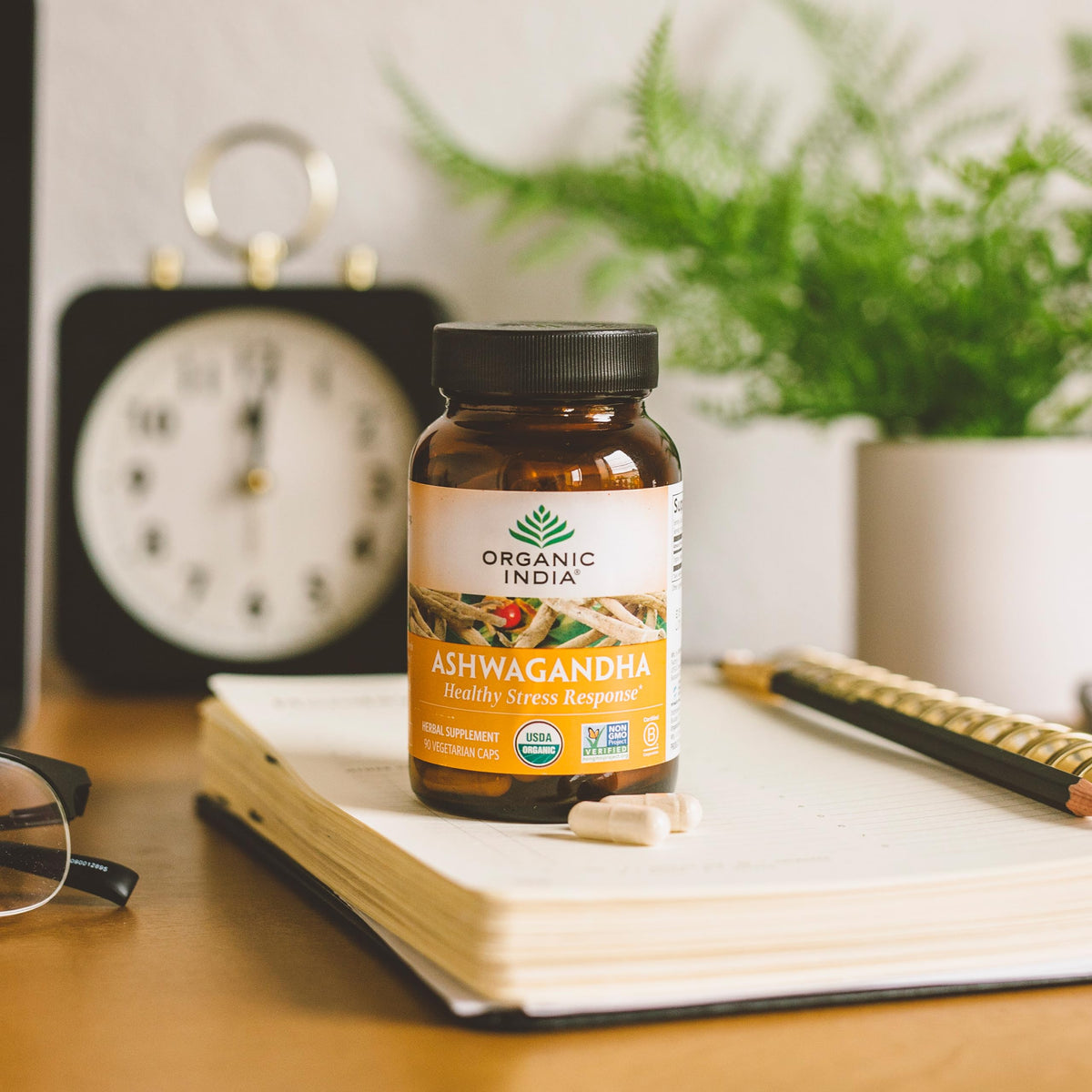 Capsules d'Ashwagandha ORGANIC INDIA - composition