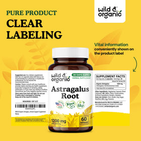 Capsules d'Astragale Wild & Organic en main, prêtes à être consommées
