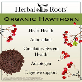 Capsules d'aubépine Herbal Roots sur une surface en bois