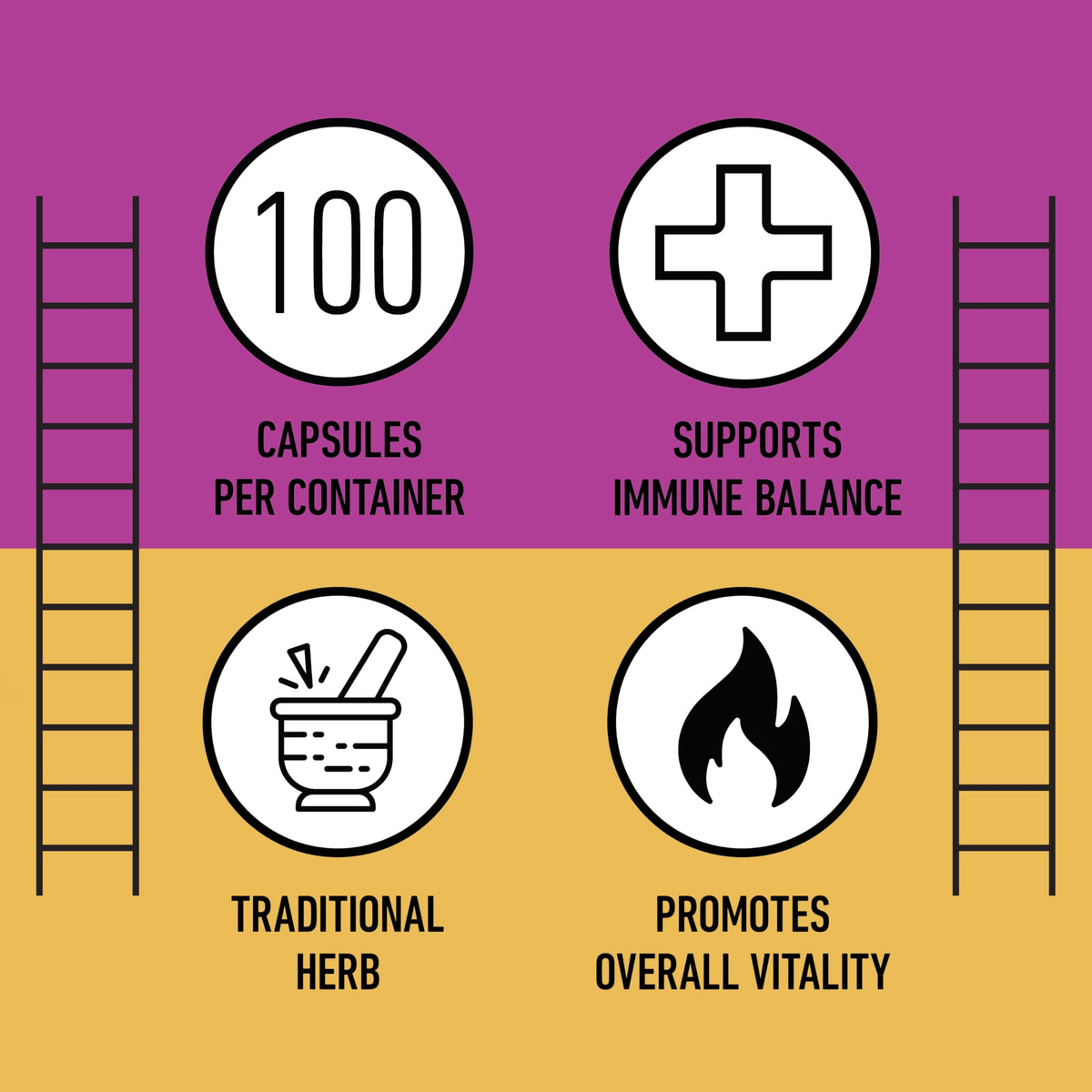 Capsules d'échinacée bio 600mg sur une table en bois