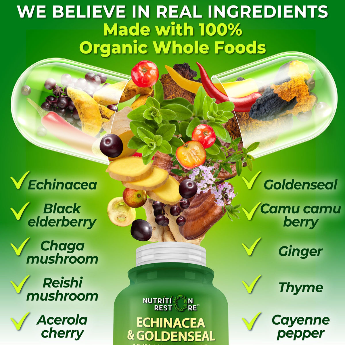 Capsules d'Echinacée Bio Nutrition Restore, vue de côté