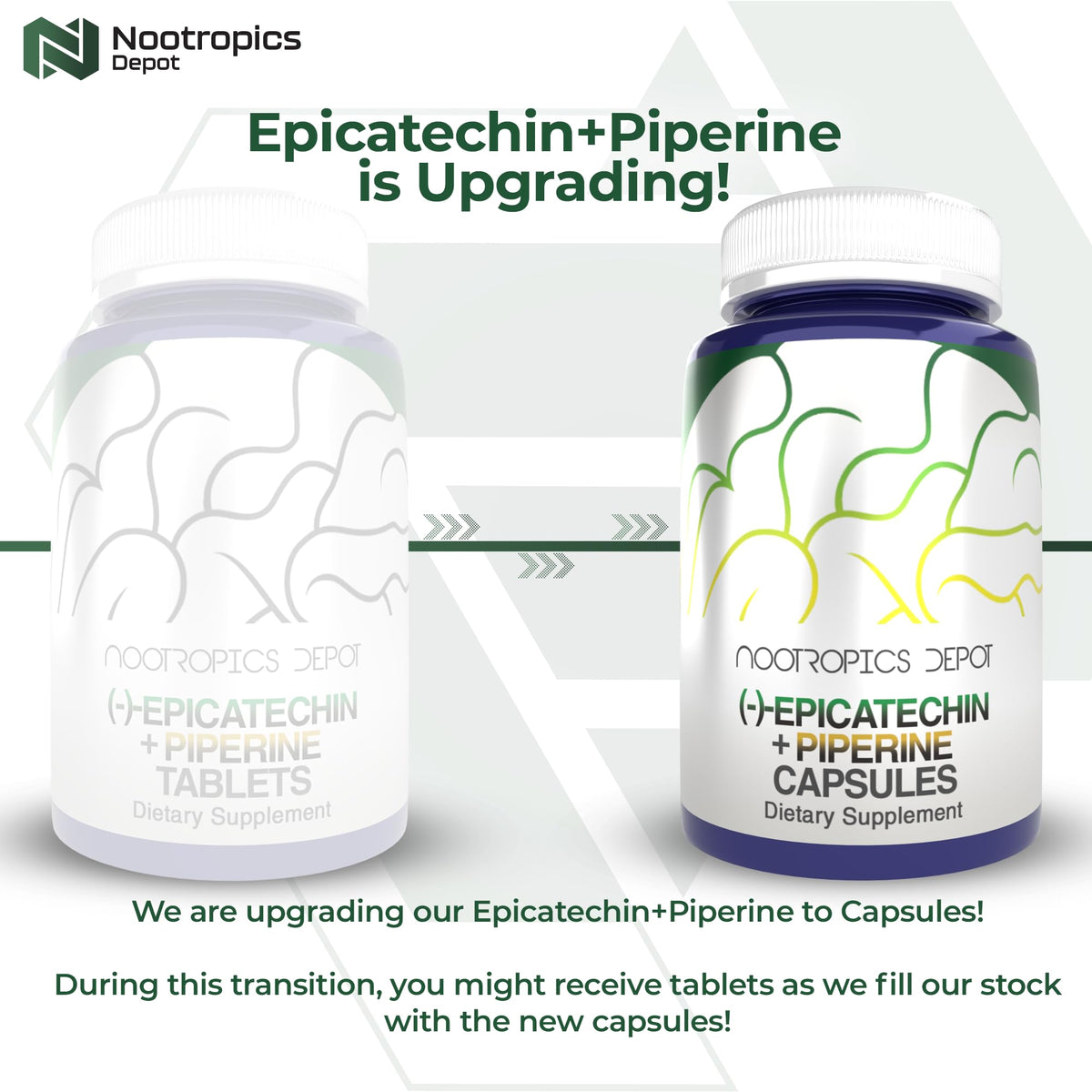 Capsules d'épicatchine Nootropics Depot avec piperine