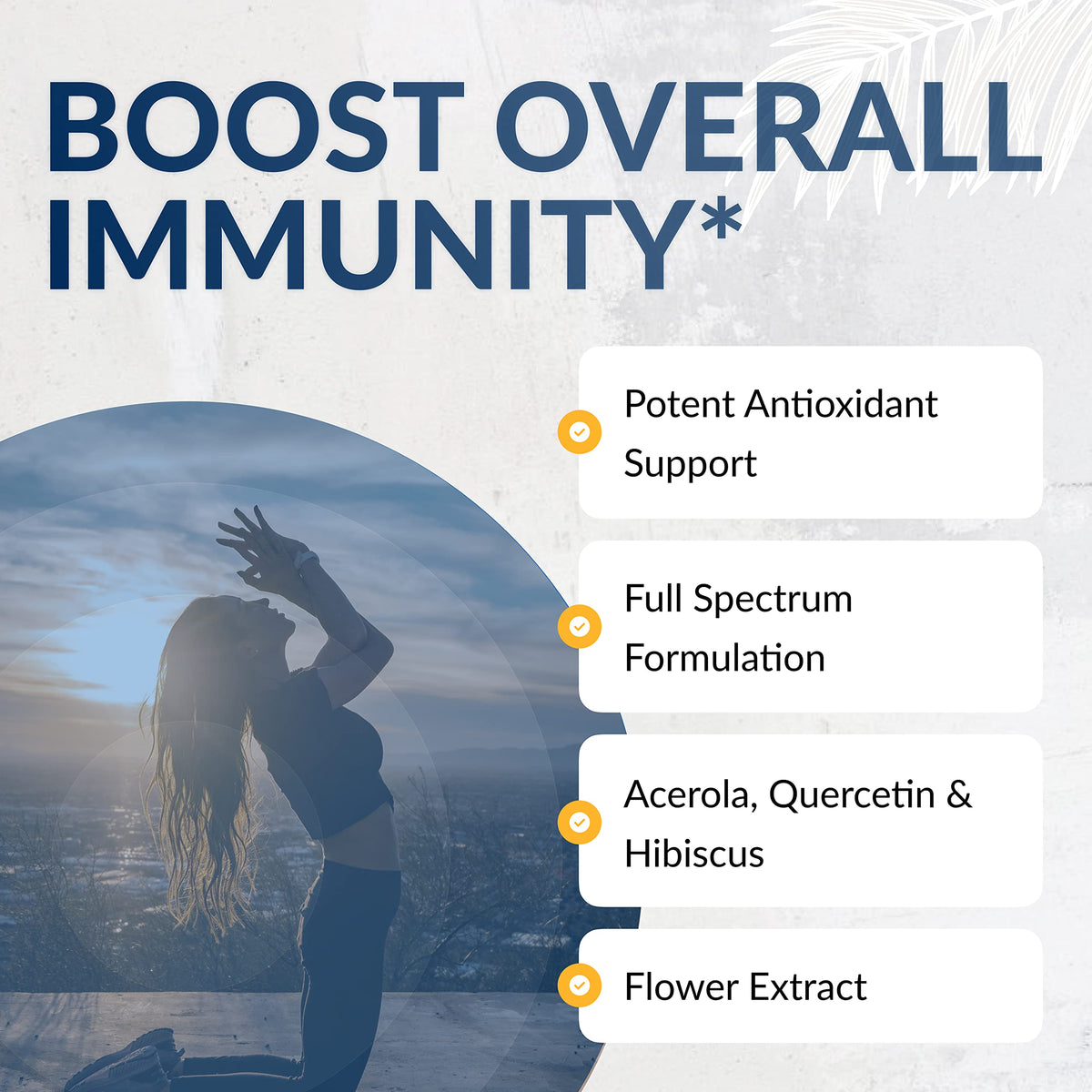 Capsules d'Equilife Vitamine C dans une main