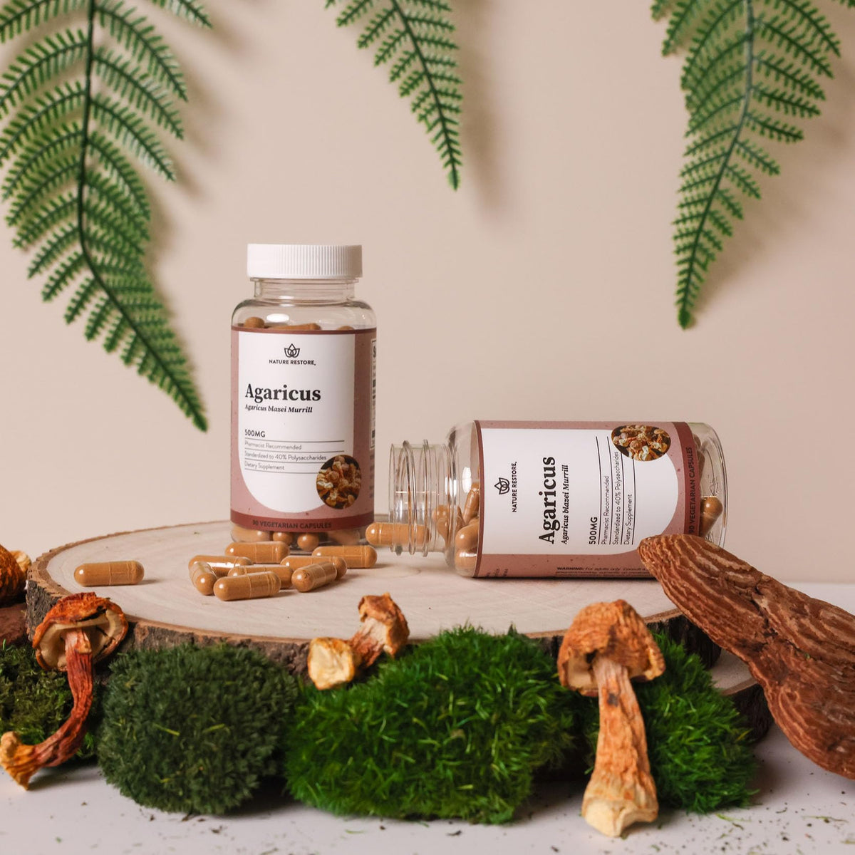 Capsules d'extrait de champignon Agaricus Blazei Murill sur une table