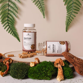 Capsules d'extrait de champignon Agaricus Blazei Murill sur une table