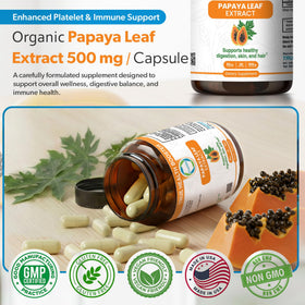 Capsules d'extrait de feuille de papaye TRUEMED dans une main