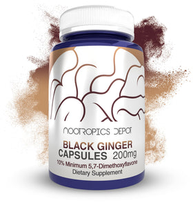 Capsules d'extrait de gingembre noir Nootropics Depot devant l'emballage