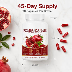 Capsules d'extrait de grenade bio OsxoBear dans une main