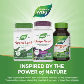 Capsules d'Extrait de Pépin de Raisin Nature's Way sur une cuillère