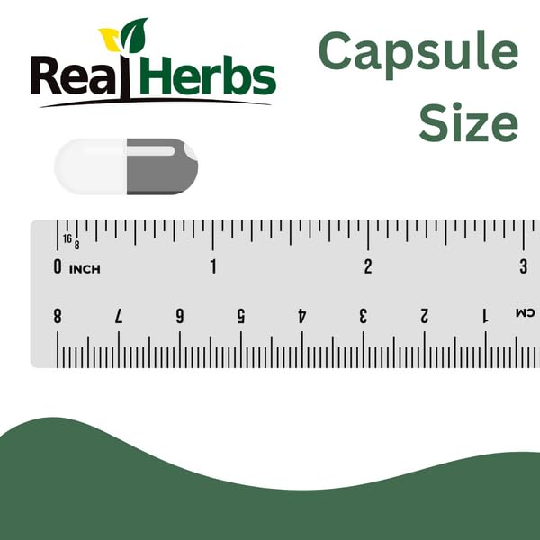Capsules d'extrait de racine d'ortie Real Herbs sur une table