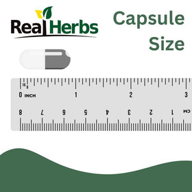 Capsules d'extrait de racine d'ortie Real Herbs sur une table