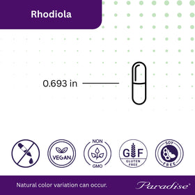 Capsules d'extrait de Rhodiola avec plantes en arrière-plan
