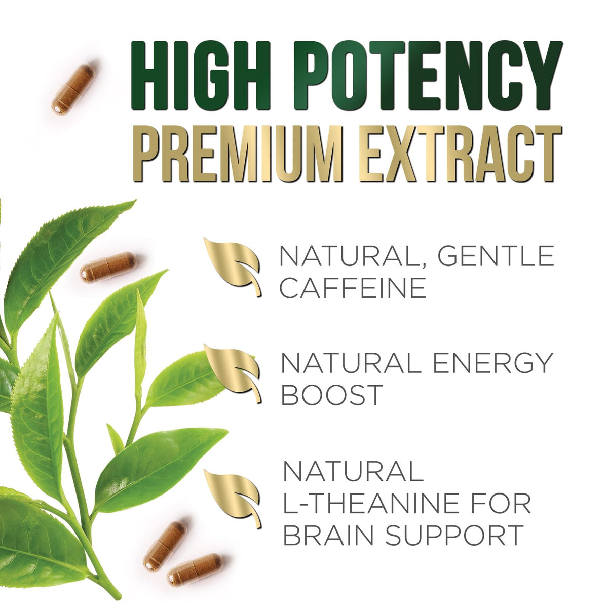 Capsules d'extrait de thé vert Nature's Nutrition sur un fond blanc