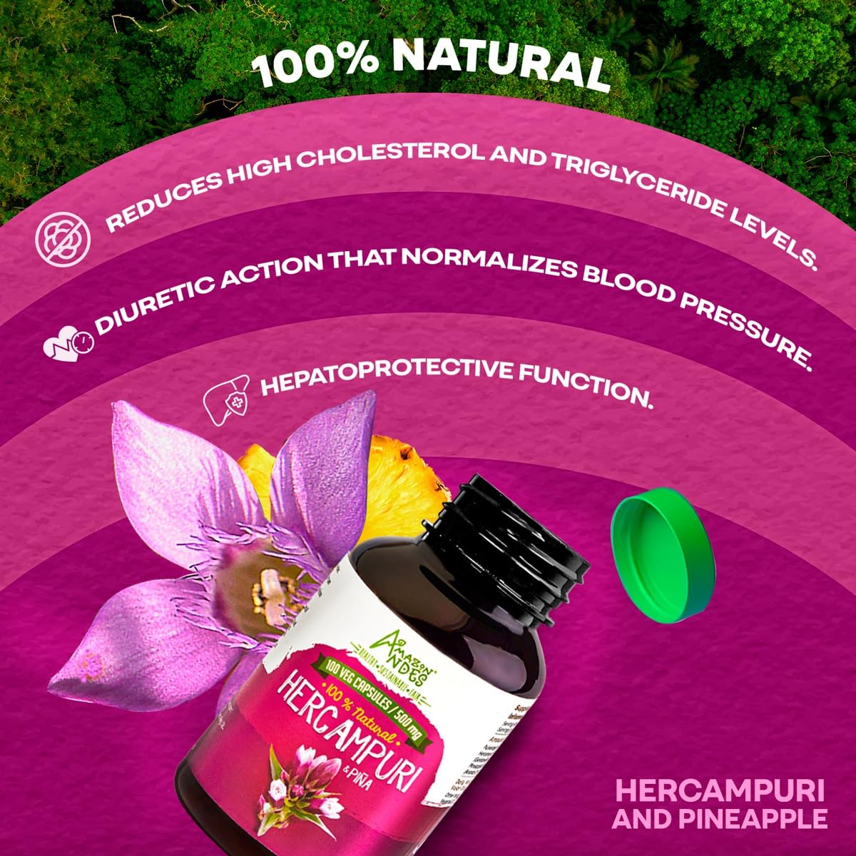 Capsules d'Hercampuri sur un fond naturel