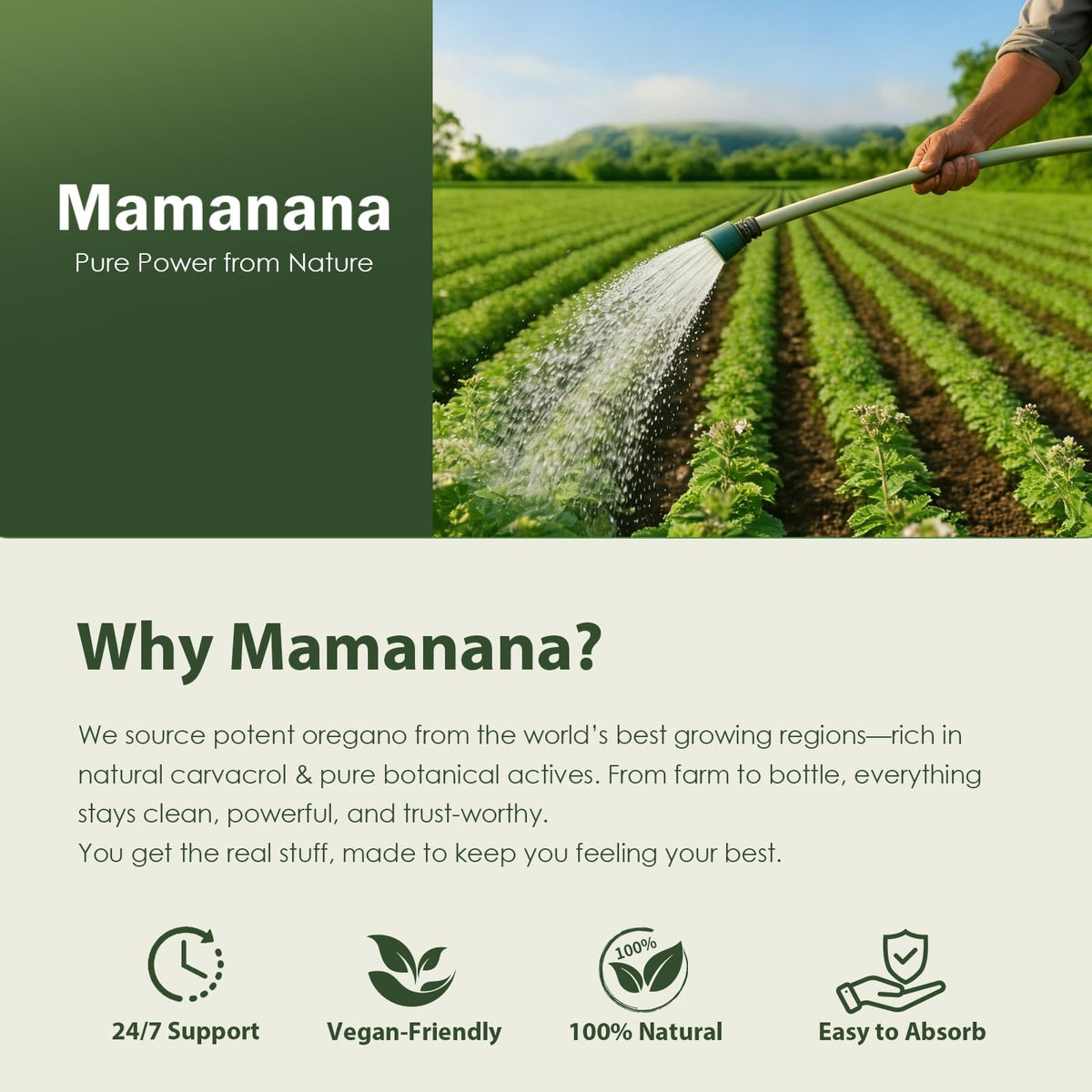 Capsules d'huile d'origan bio mamanana avec arrière-plan naturel