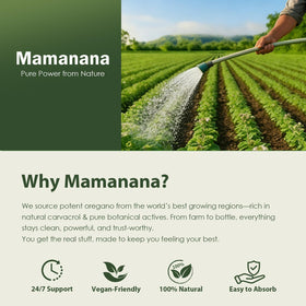 Capsules d'huile d'origan Mamanana ouvertes