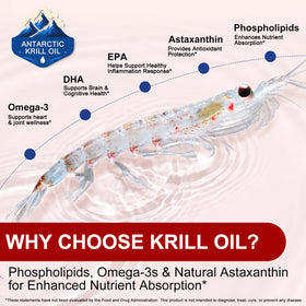 Capsules d'huile de krill ZUZOKKAHA sur fond blanc