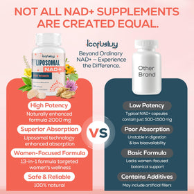 Capsules d'IcarusIvy NAD+ pour Femmes sur une table