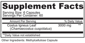 Capsules d'insuline ORGANOPLEX dans une main