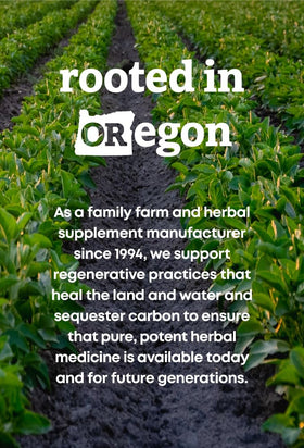 Capsules d'Ortie Bio Oregon's Wild Harvest sur une table en bois