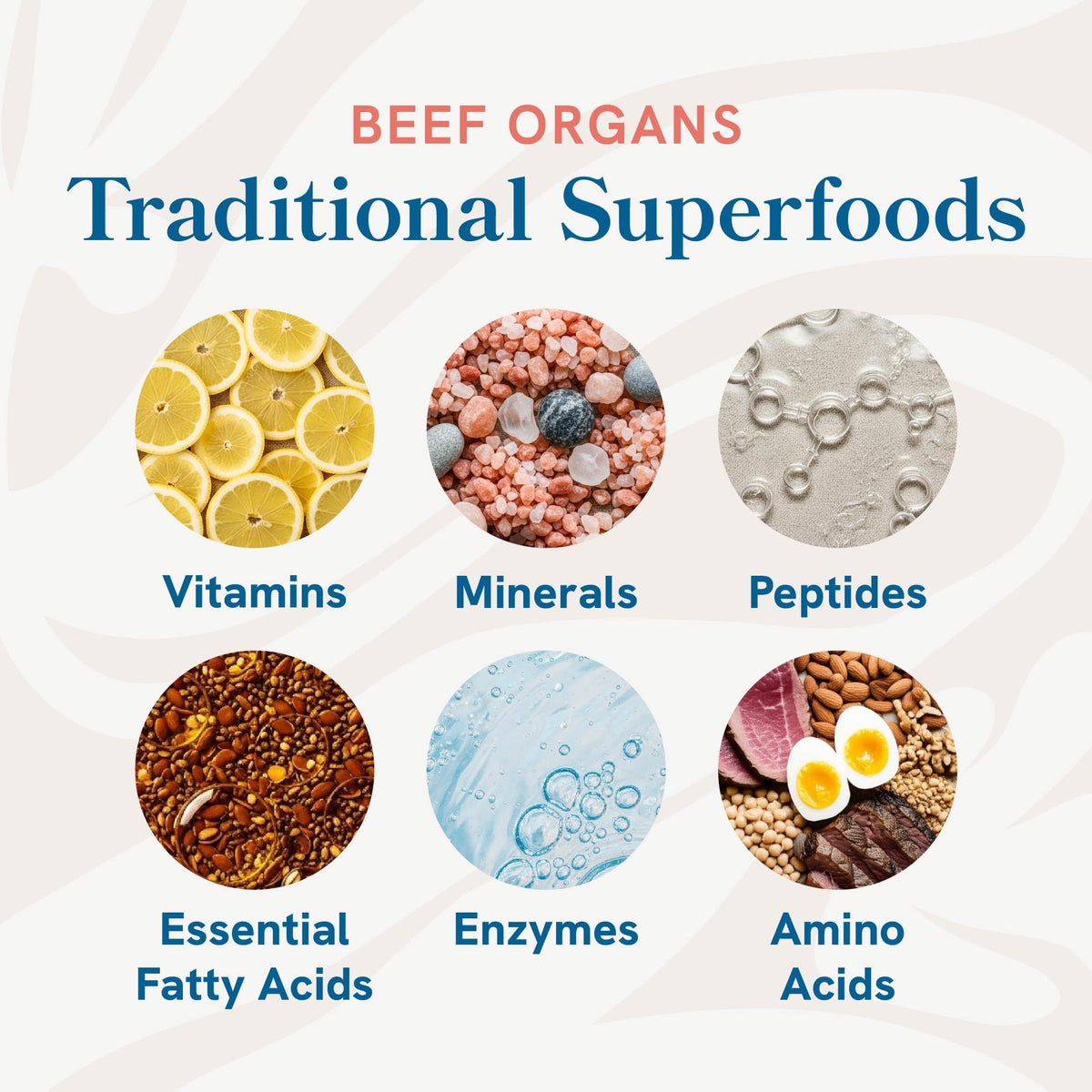 Capsules de bœuf dans une cuillère