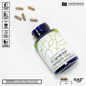 Capsules de Bacopa Cognance sur un fond blanc