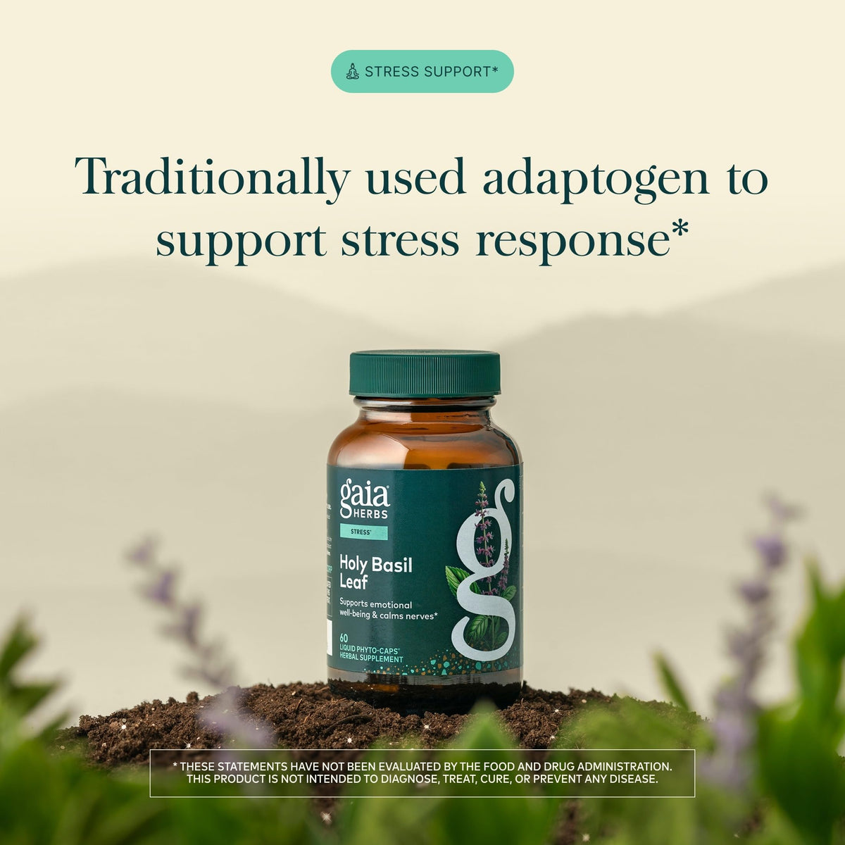 Capsules de Basilic Sacré Gaia Herbs sur un fond neutre