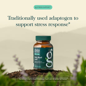 Capsules de Basilic Sacré Gaia Herbs sur un fond neutre
