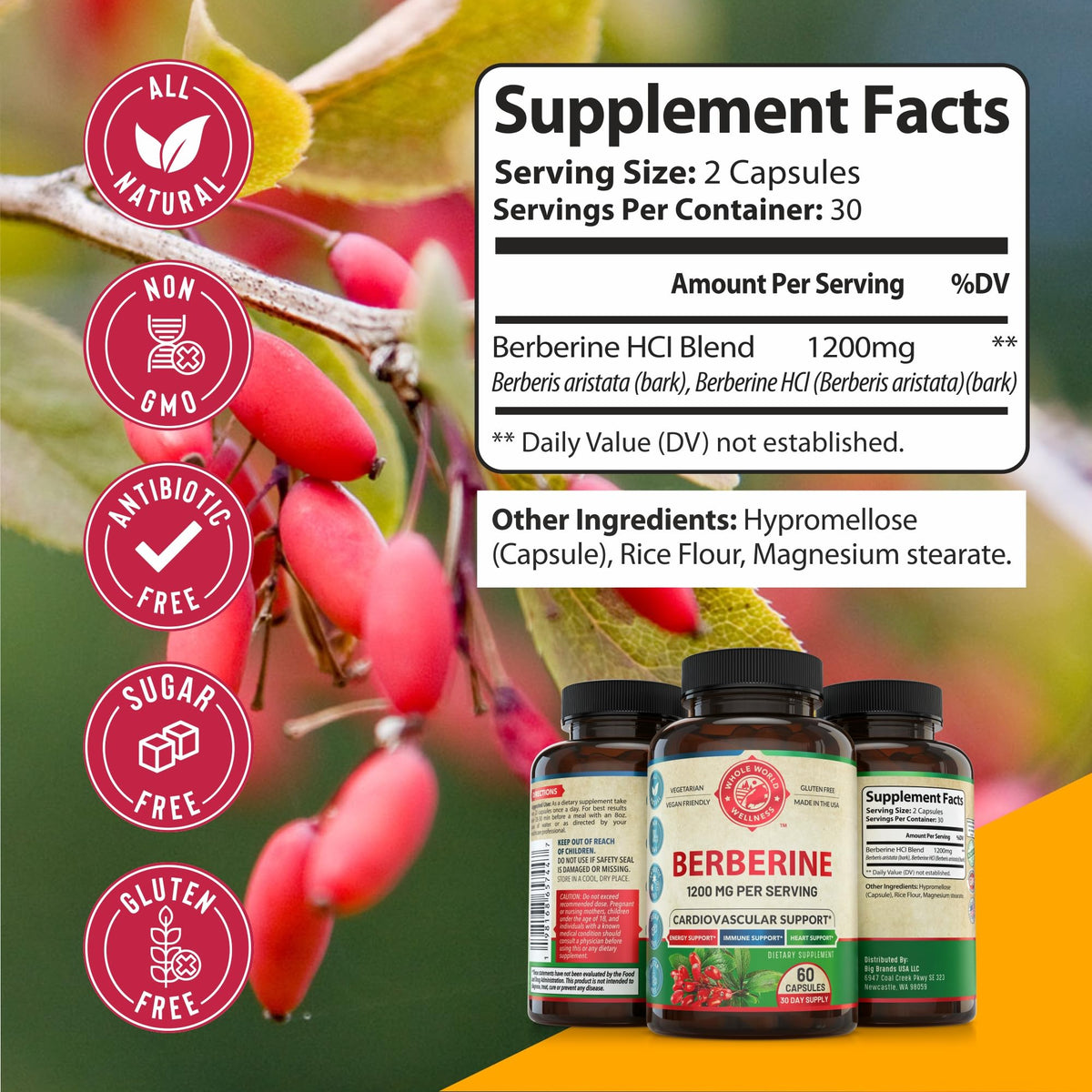 Capsules de berbérine 1200mg sur fond blanc