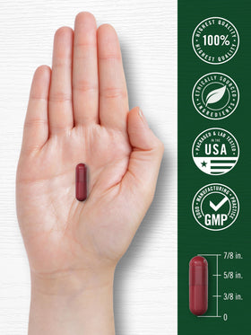 Capsules de betterave Carlyle en gros plan sur une table