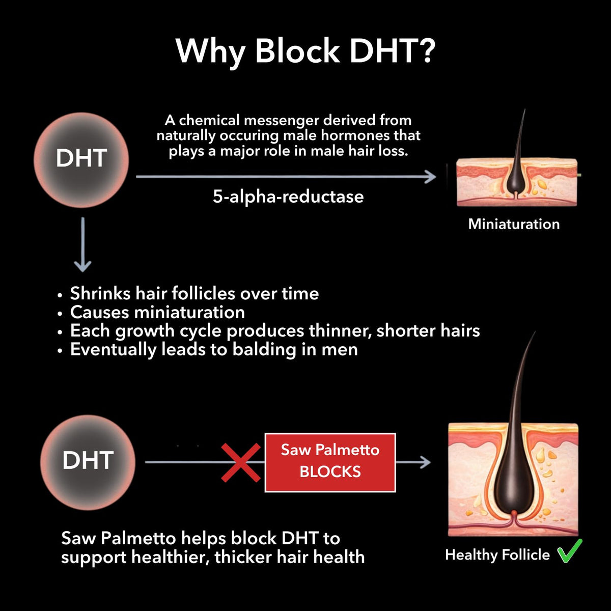 Capsules de Bloqueur de DHT HAVASU NUTRITION sur fond blanc