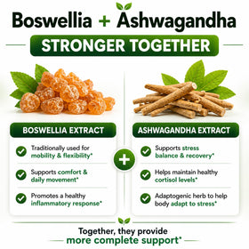 Capsules de Boswellia avec un fond neutre