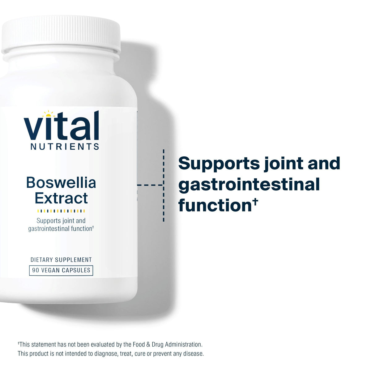 Capsules de Boswellia Vital Nutrients dans une main