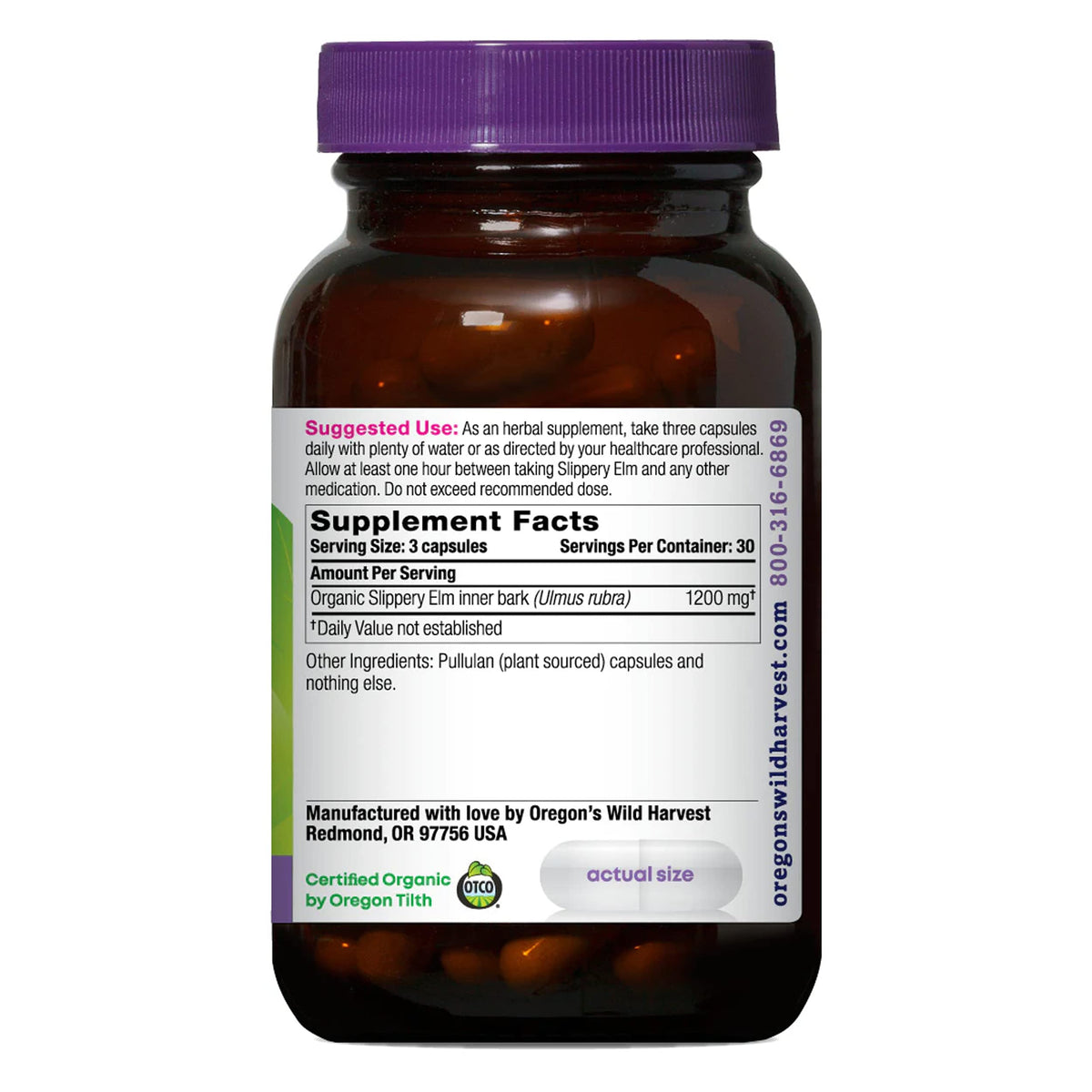 Capsules de Bouleau Glissant Bio Oregon's Wild Harvest vue arrière