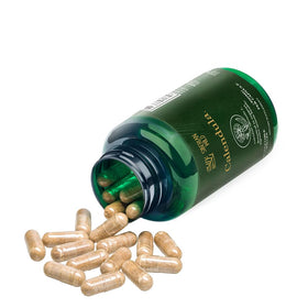 Capsules de calendula Siberian Wild ouvertes montrant leur contenu