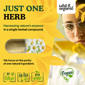 Capsules de camomille Wild & Organic avec étiquette visible