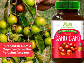 Capsules de Camu Camu 500mg, ouverte avec gélule visible