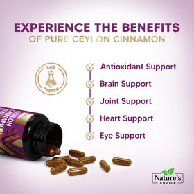 Capsules de cannelle Ceylan Nature's Choice dans une main