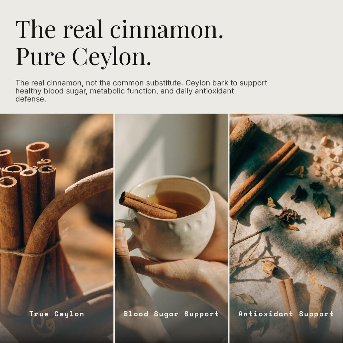 Capsules de cannelle de Ceylan 1200mg Dear Apothecary à côté d'un verre d'eau