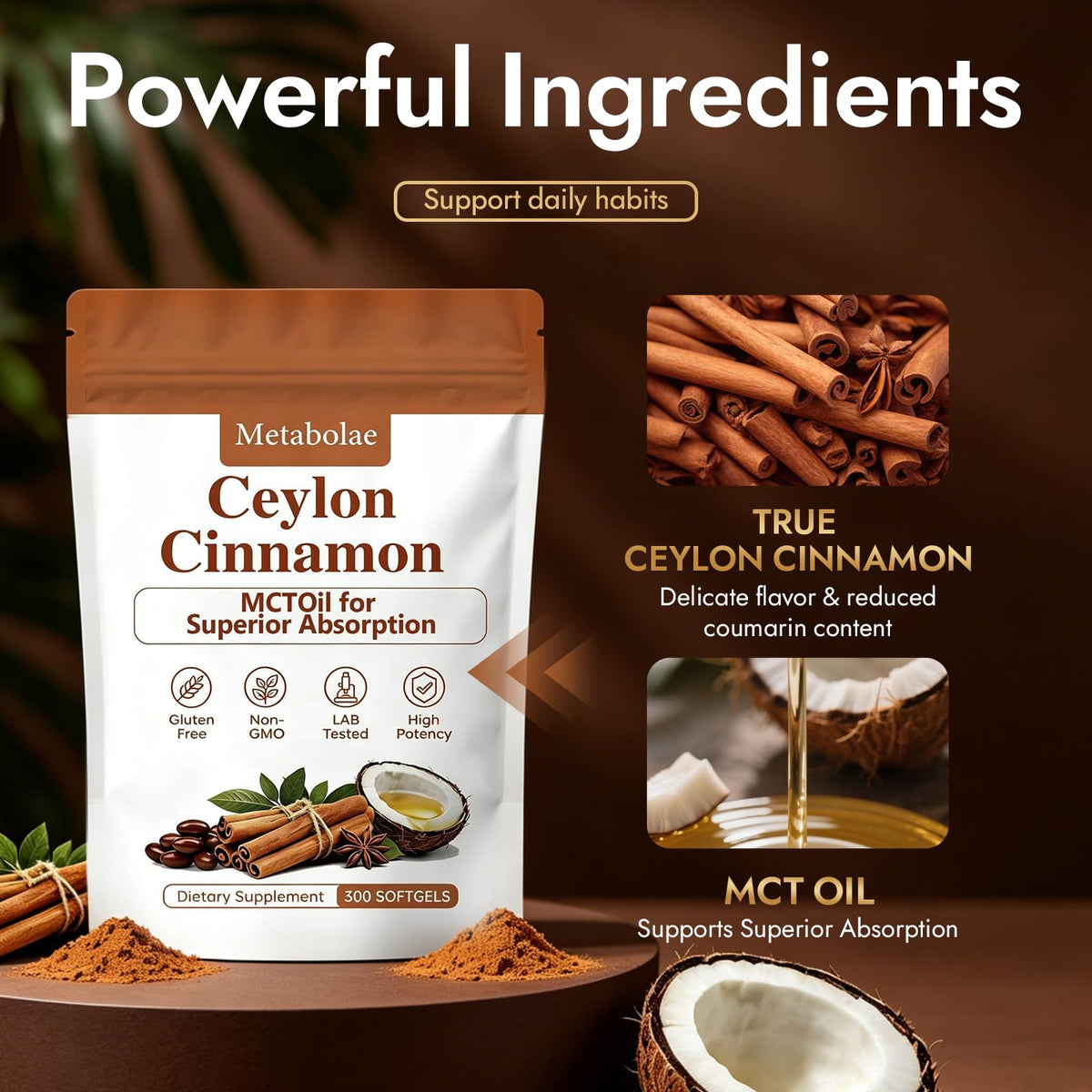 Capsules de cannelle de Ceylan a balanced routine en vue de près