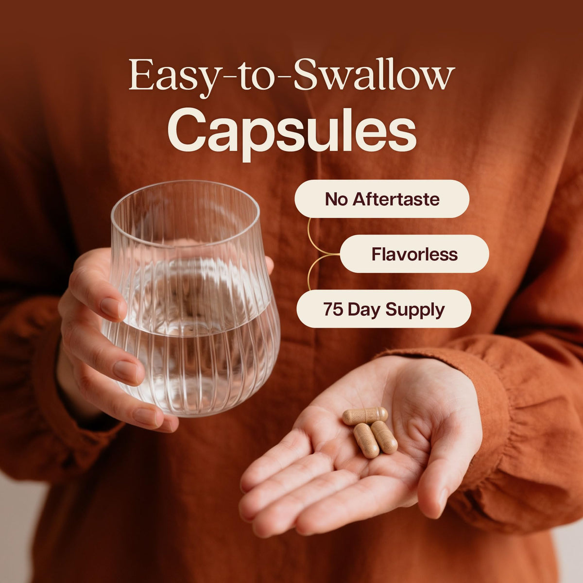 Capsules de cannelle de Ceylan dans une cuillère en bois