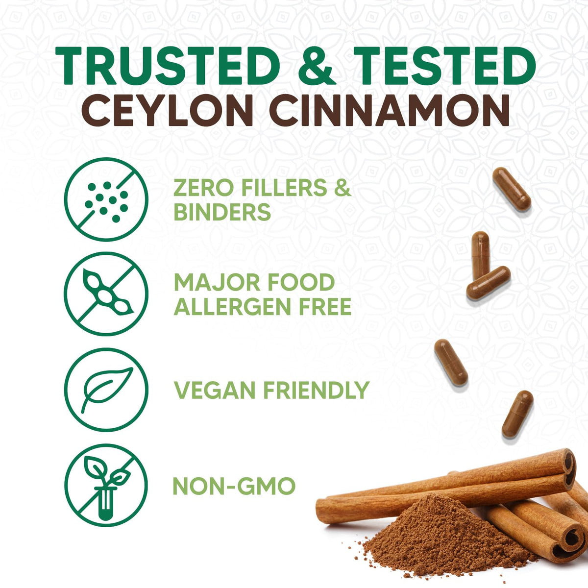 Capsules de cannelle de Ceylan dans une main