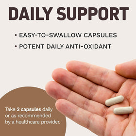 Capsules de Cannelle de Ceylan Herbtonics avec un verre d'eau