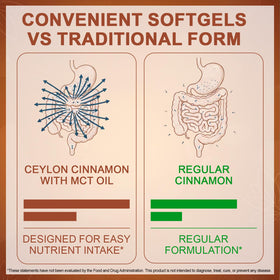 Capsules de Cannelle de Ceylan IFUDOIT avec des ingrédients naturels