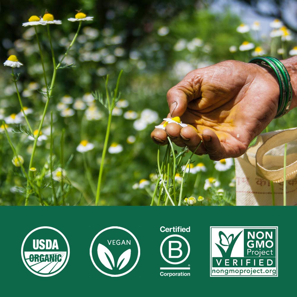 Capsules de cannelle de Ceylan ORGANIC INDIA dans un bol