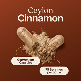 Capsules de cannelle de Ceylan sur une surface en bois