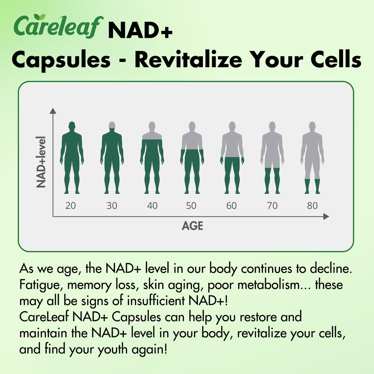 Capsules de careleaf NAD+ 300mg sur fond blanc