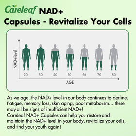 Capsules de careleaf NAD+ 300mg sur fond blanc