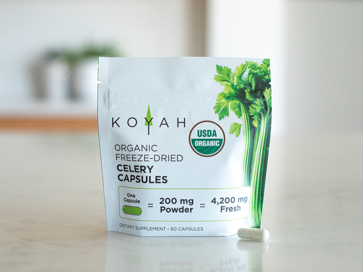Capsules de céleri KOYAH dans une main